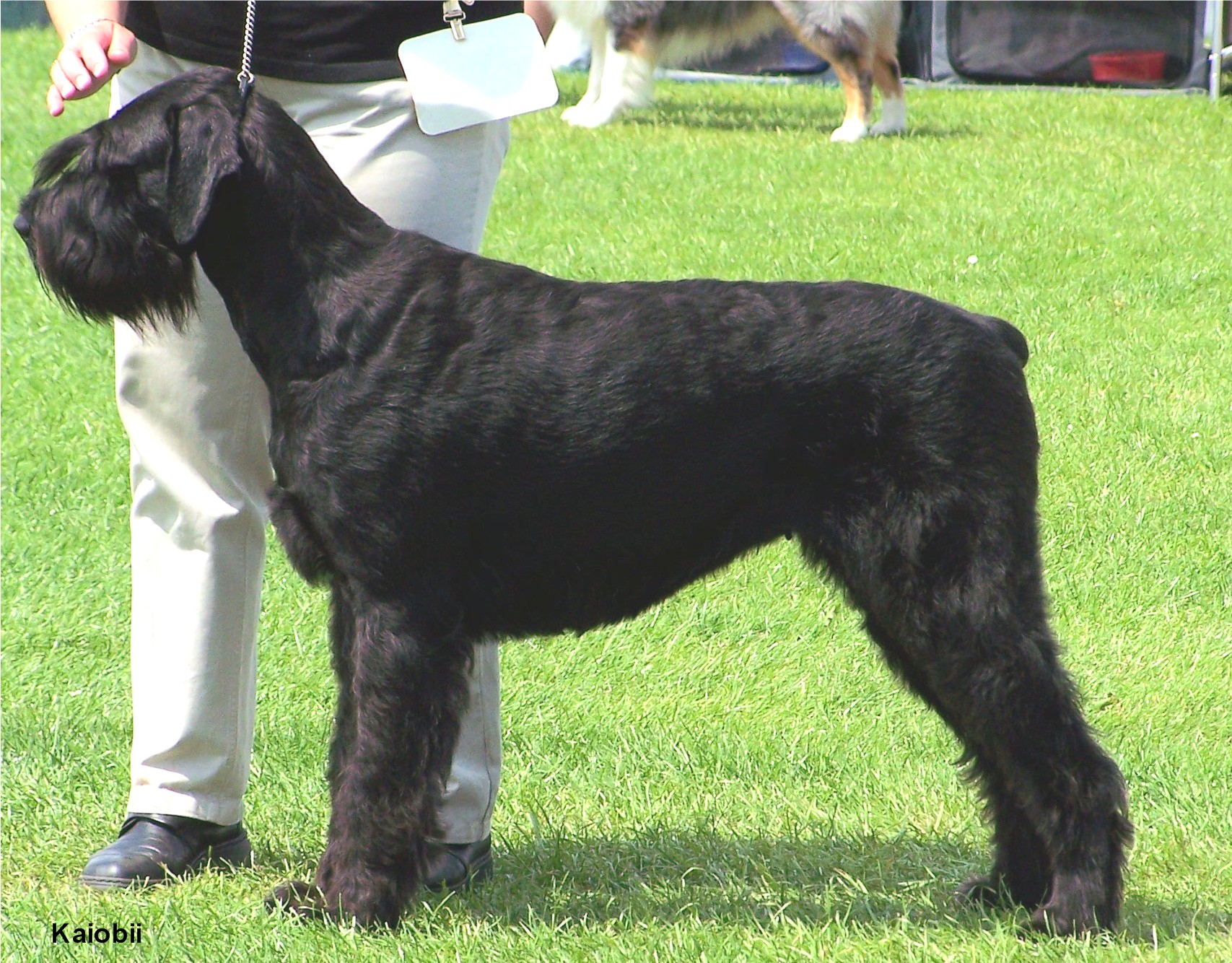 southerncounties040.jpg